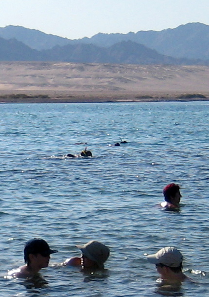 Beach Sharm-el-Sheikh 2008